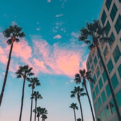 YJ丶L